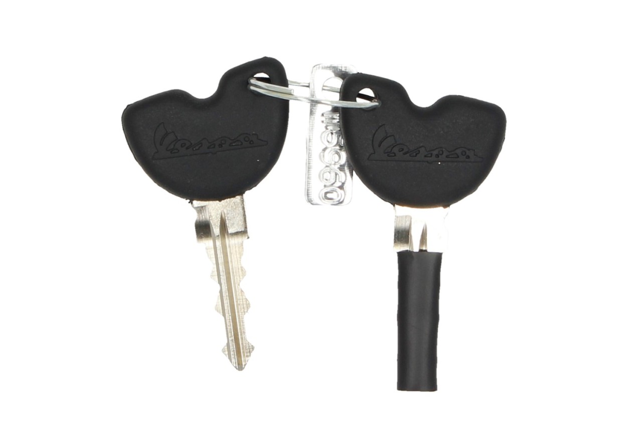 Originele topkoffer voor Vespa GTS - rode draak / passione / 894